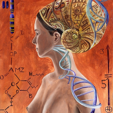 Ambre Fibonnacci